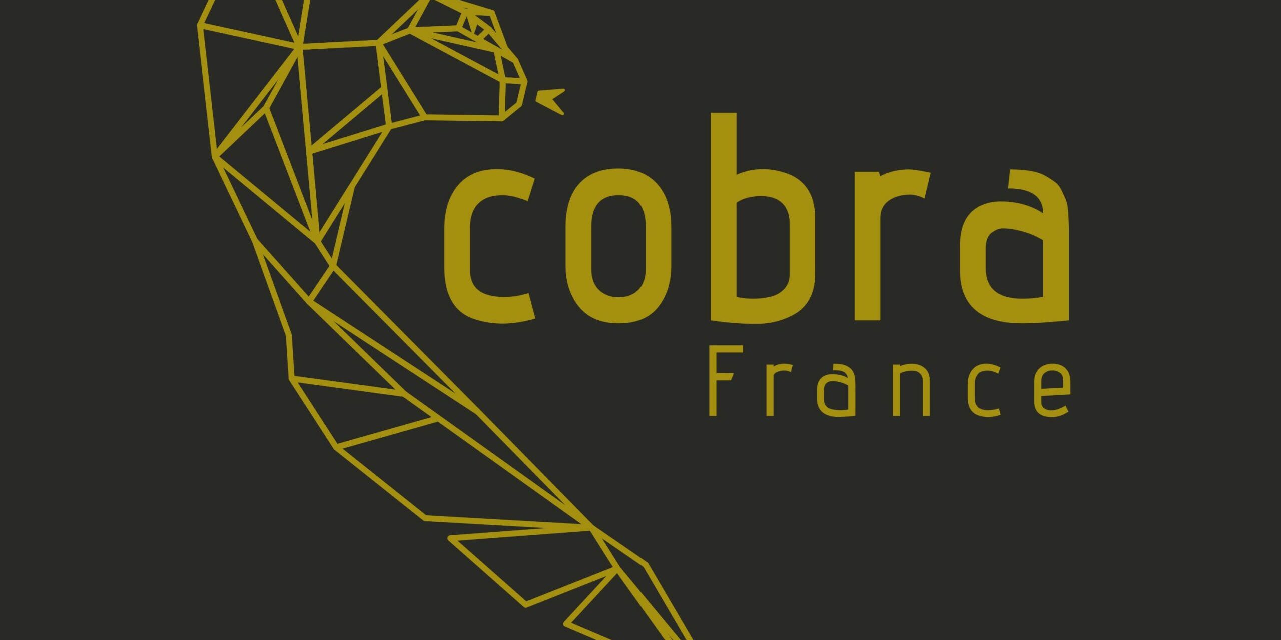 Cobra CALICOT 130 X 100CM